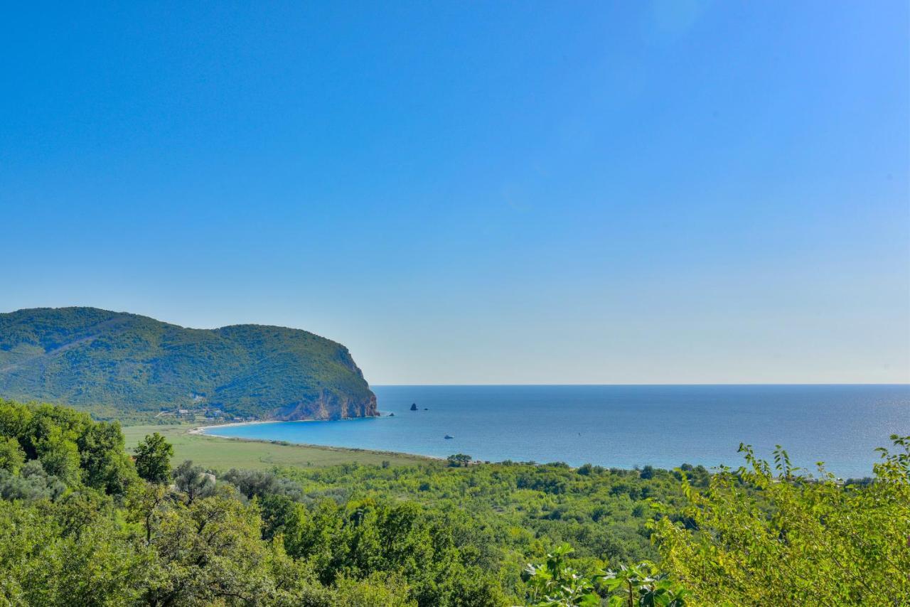 Pataki Studios Petrovac Eksteriør billede