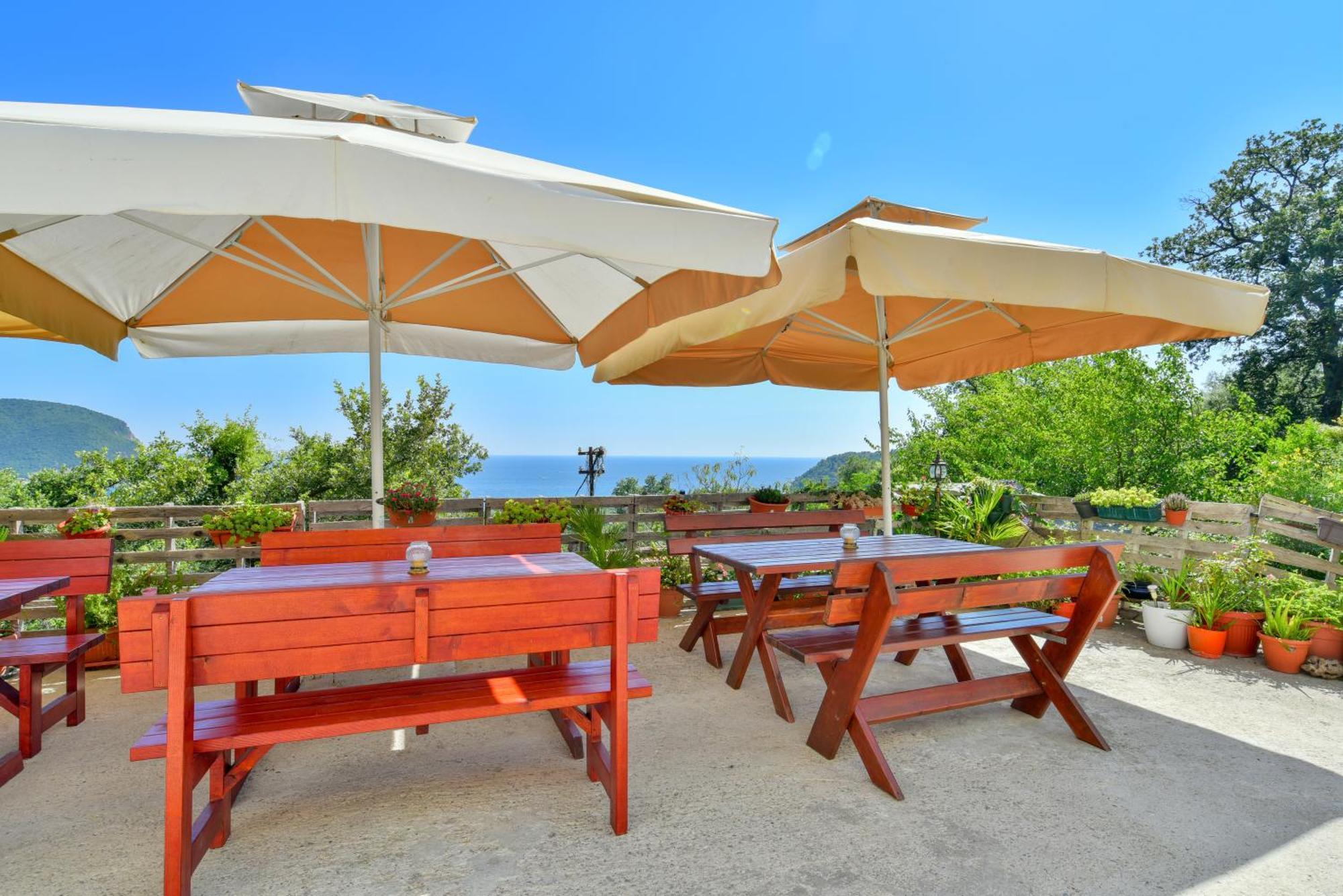 Pataki Studios Petrovac Eksteriør billede