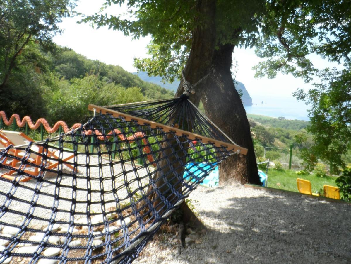 Pataki Studios Petrovac Eksteriør billede