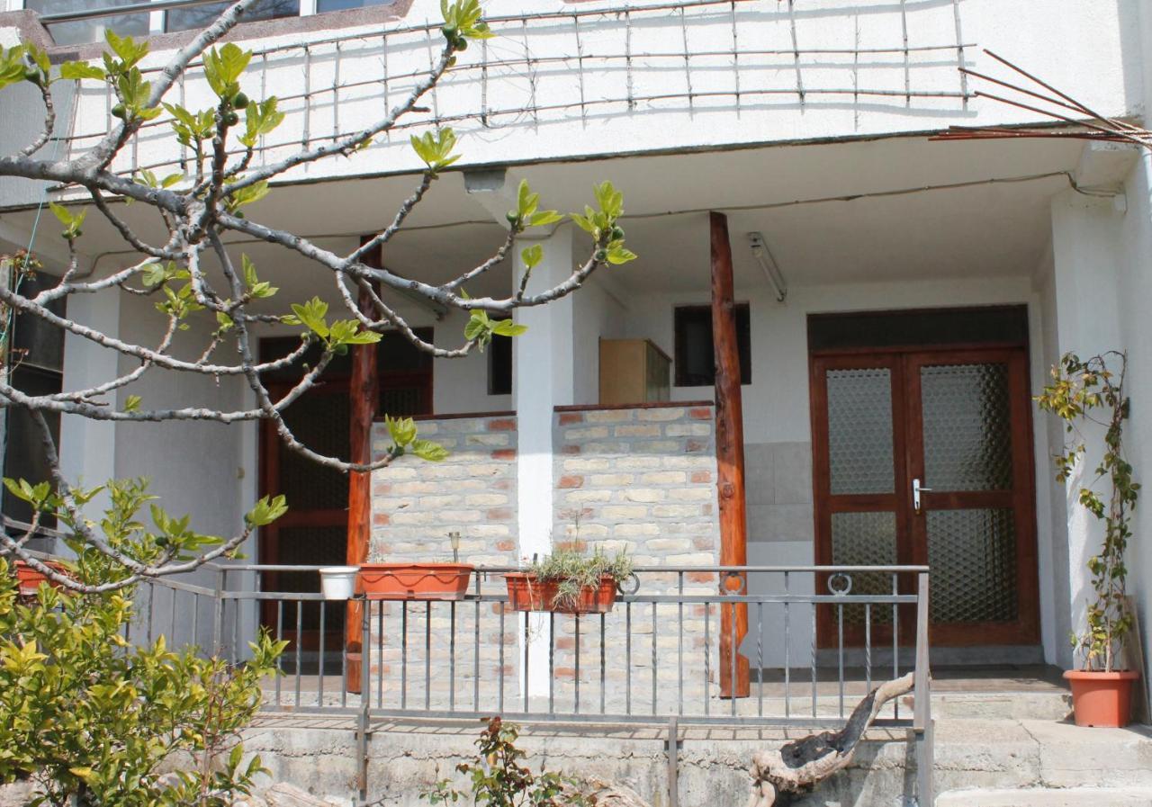 Pataki Studios Petrovac Eksteriør billede